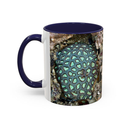 Reef range Accent Coffee Mug (11, 15oz)