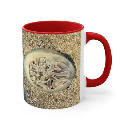 Reef range- AUS PRINT Colorful Accent Mugs, 11oz