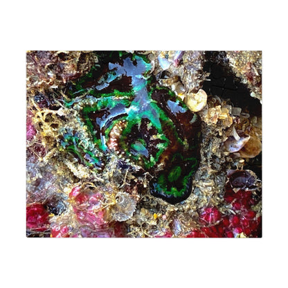 Reef range- Jigsaw Puzzle (30, 110, 252, 500,1000-Piece)