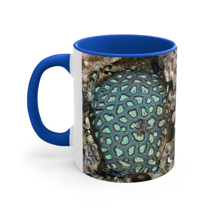 Reef range- AUS PRINT Colourful Accent Mugs, 11oz