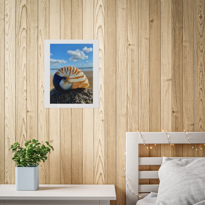 Coastal Nautilus Shell Unframed Poster – Beach Decor for Coastal Lovers