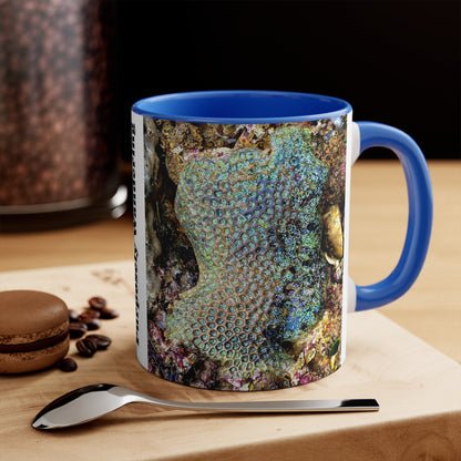 Reef range- AUS PRINT Colorful Accent Mugs, 11oz