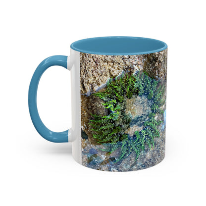 Reef range Accent Coffee Mug (11, 15oz)