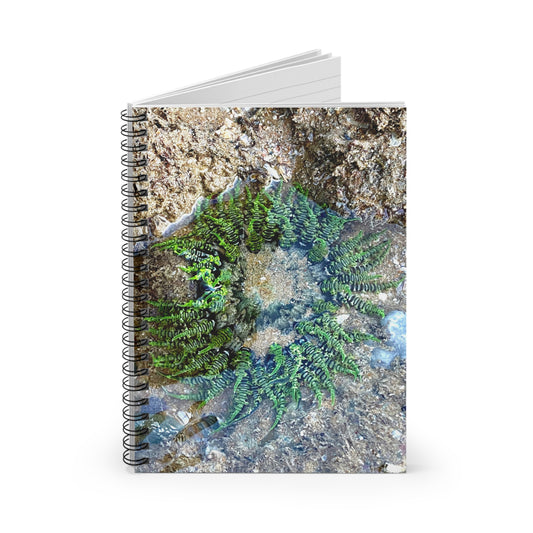 Reef range Spiral Notebook - Ruled Line