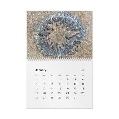 Reef range- Standard Wall Calendar (2025)