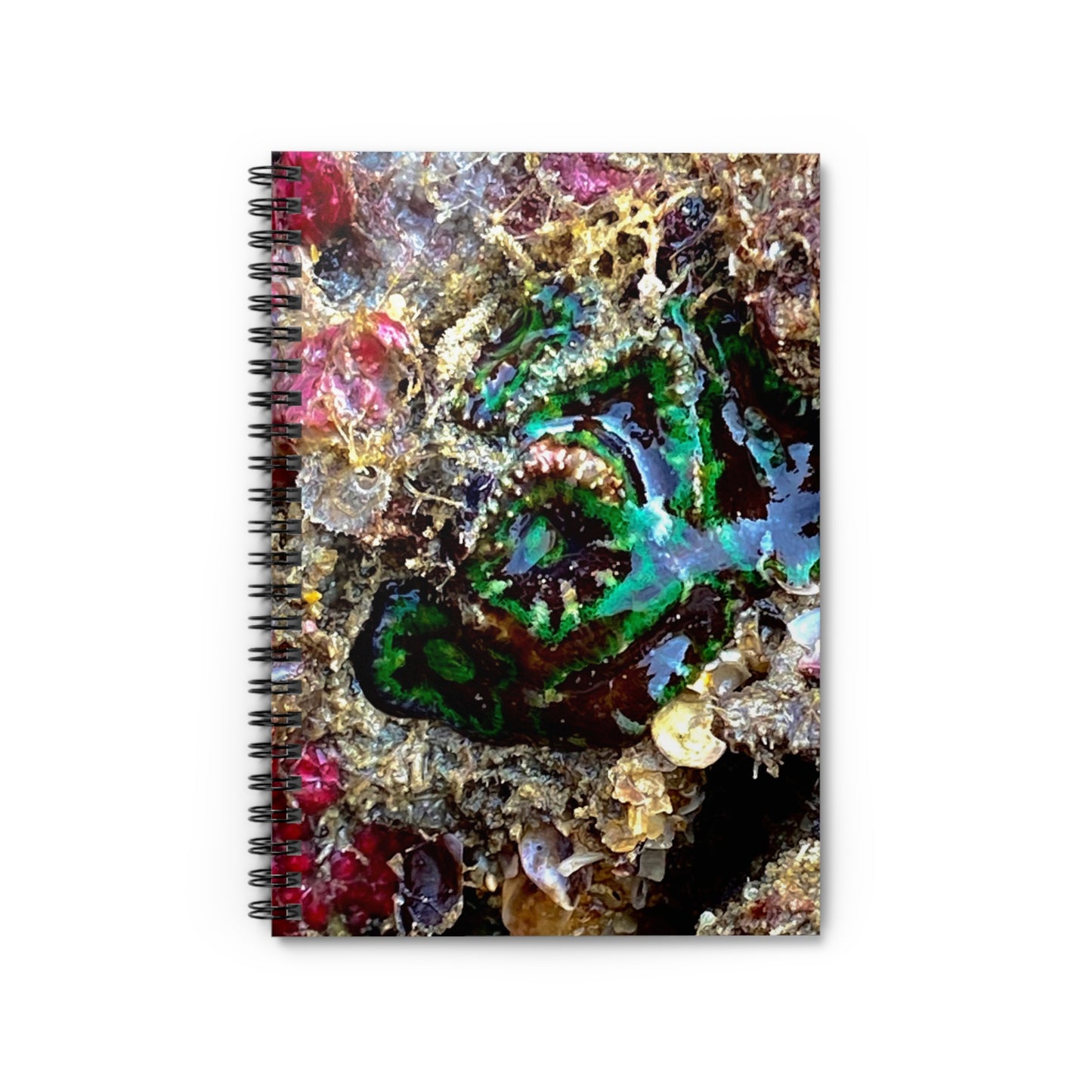 Reef range Spiral Notebook - Ruled Line