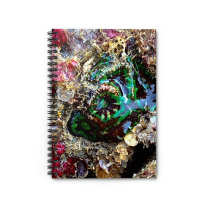 Reef range Spiral Notebook - Ruled Line