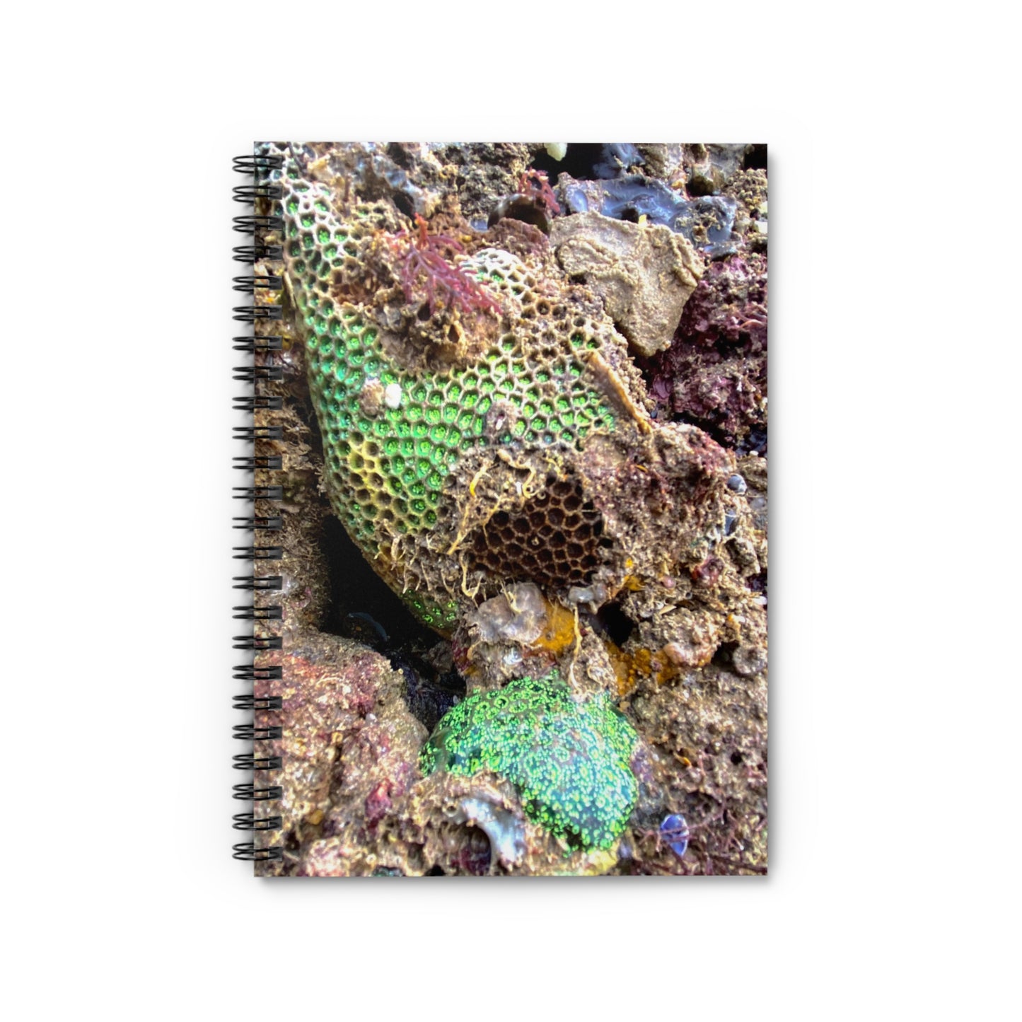 Reef range Spiral Notebook - Ruled Line