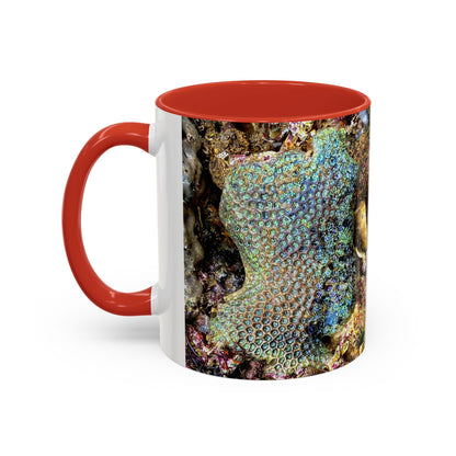 Reef range Accent Coffee Mug (11, 15oz)