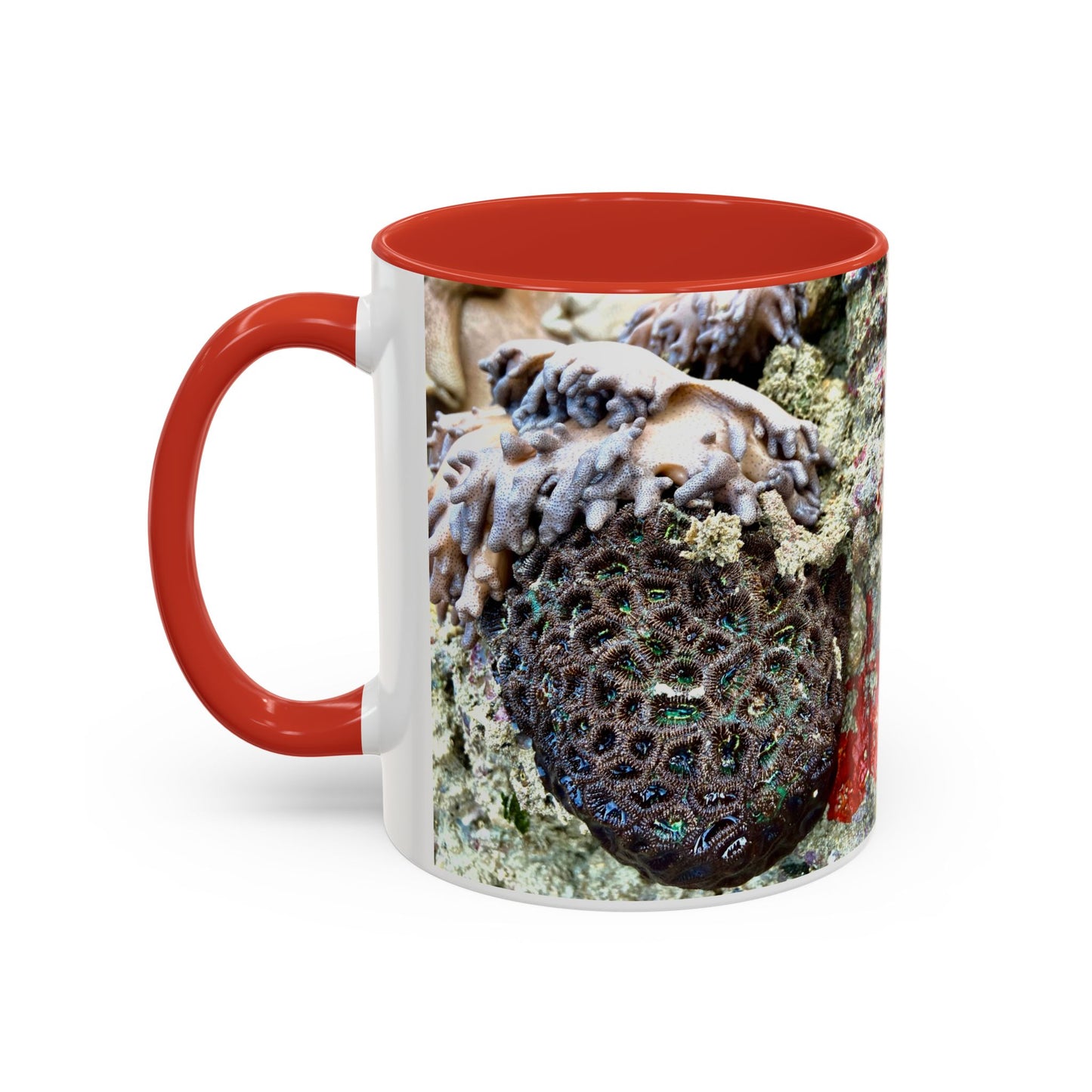 Reef range Accent Coffee Mug (11, 15oz)