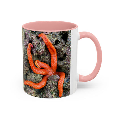 Reef range Accent Coffee Mug (11, 15oz)