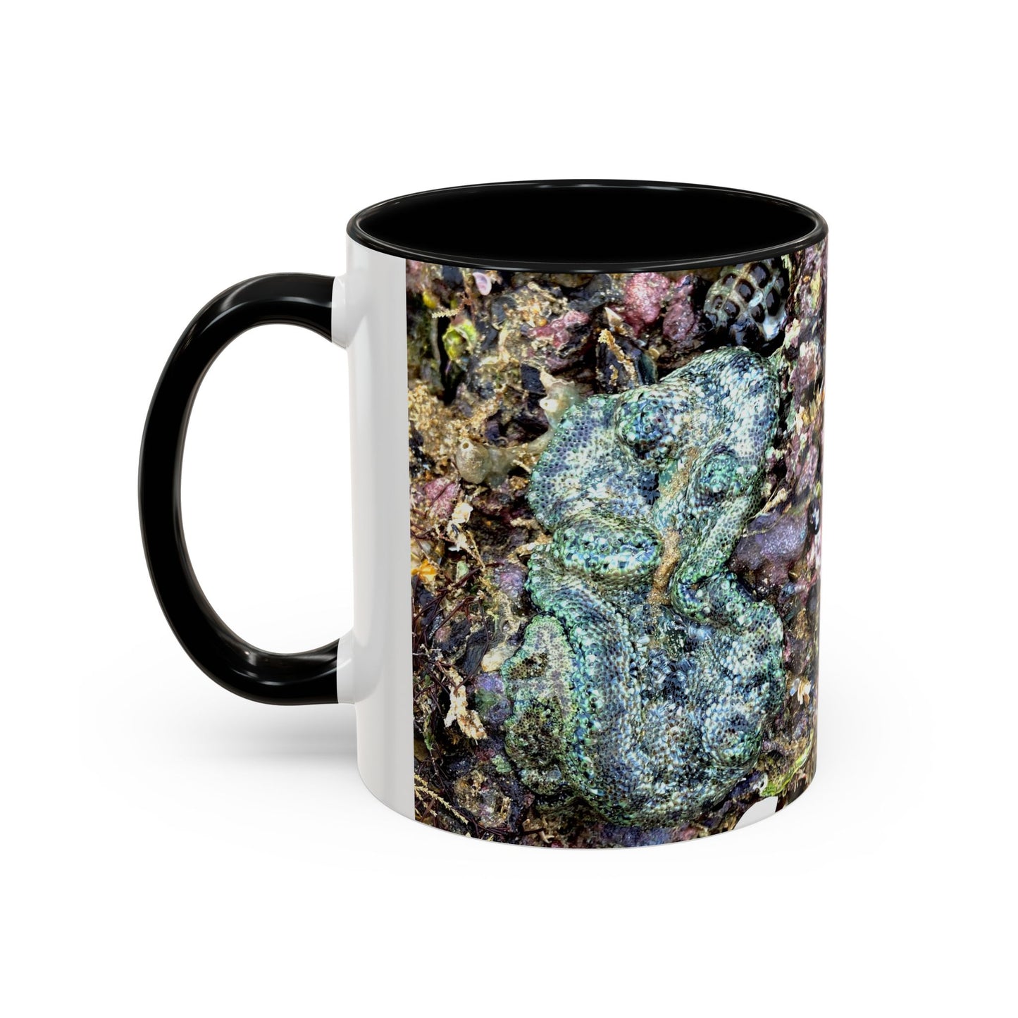 Reef range Accent Coffee Mug (11, 15oz)