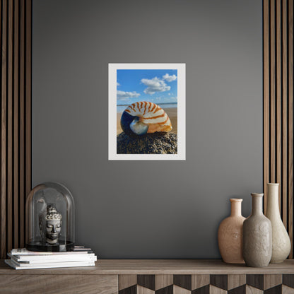 Coastal Nautilus Shell Unframed Poster – Beach Decor for Coastal Lovers
