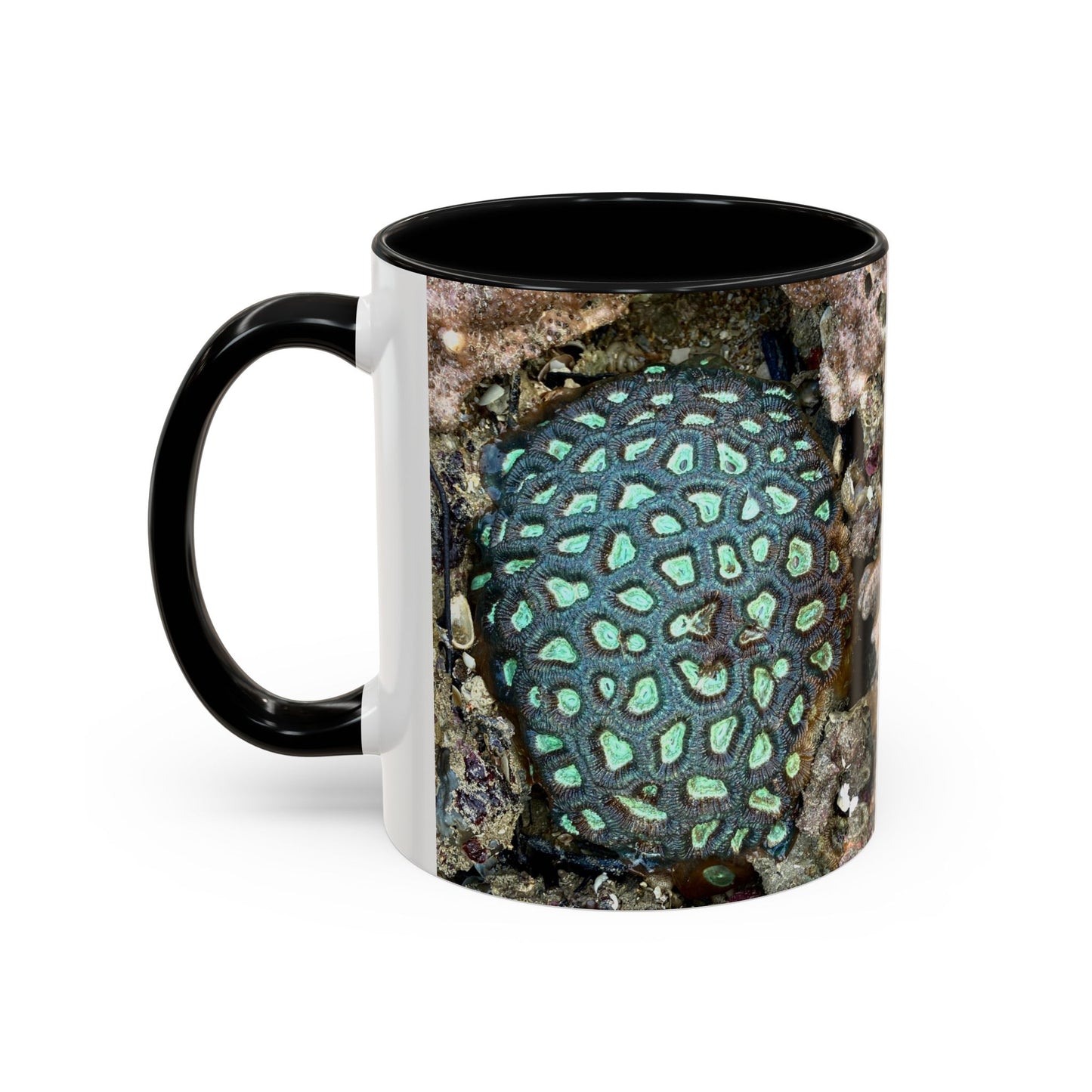 Reef range Accent Coffee Mug (11, 15oz)