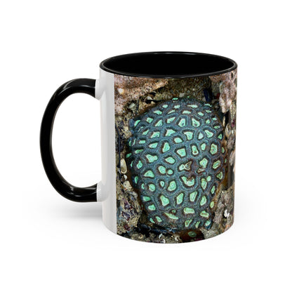 Reef range Accent Coffee Mug (11, 15oz)