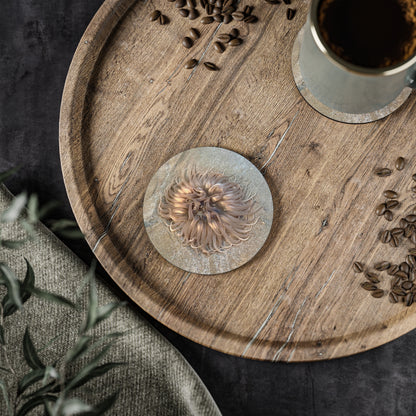Reef range- AUS PRINT Coasters