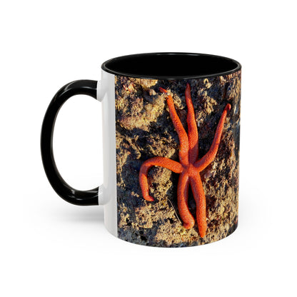 Reef range Accent Coffee Mug (11, 15oz)