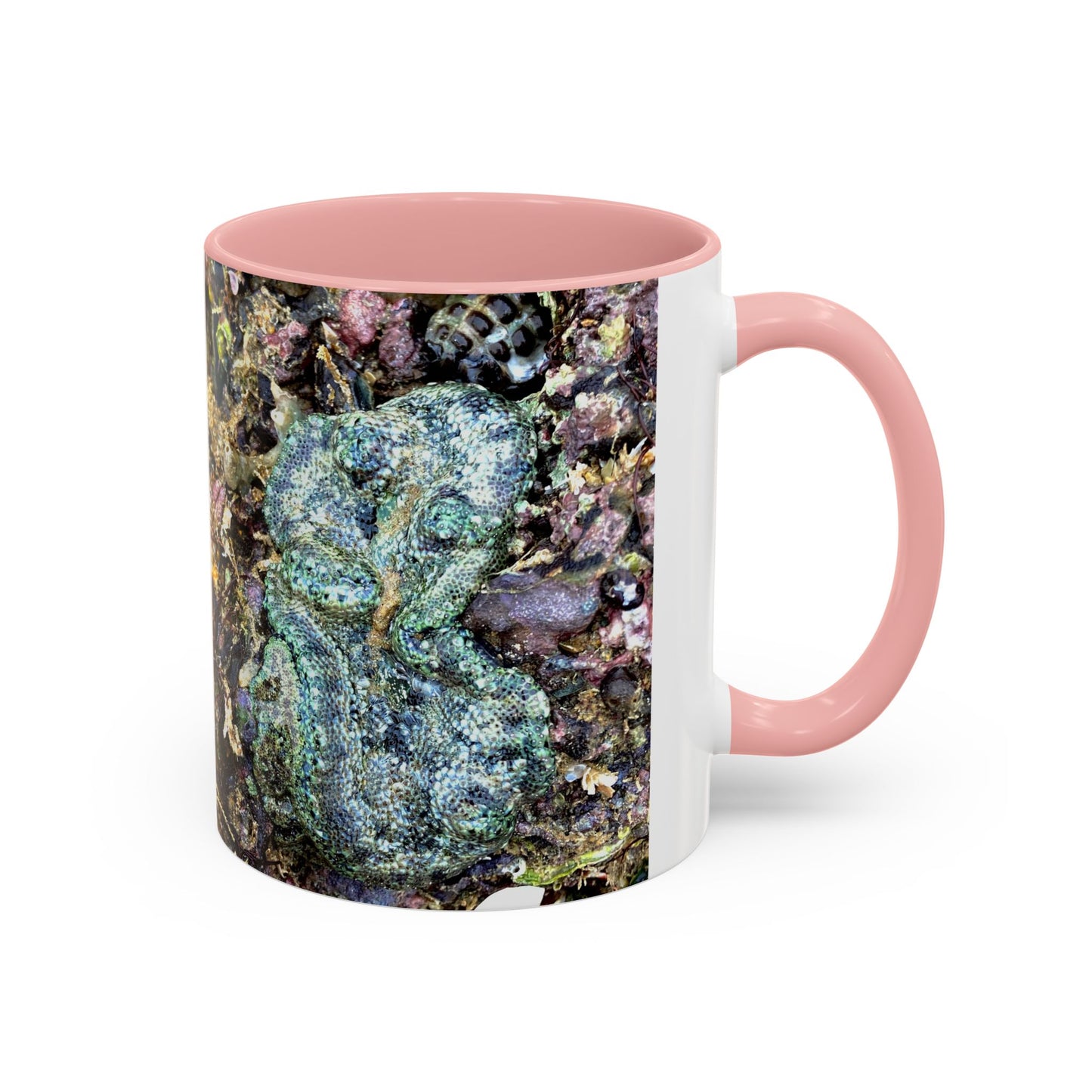 Reef range Accent Coffee Mug (11, 15oz)