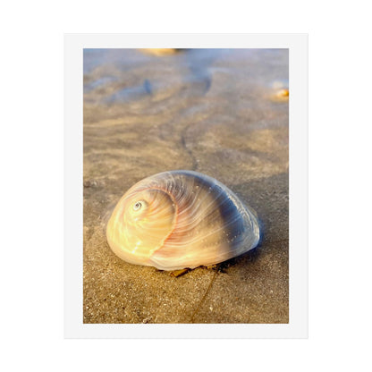 Coastal Serenity Unframed Poster – Shell Art Print for Beach Lovers