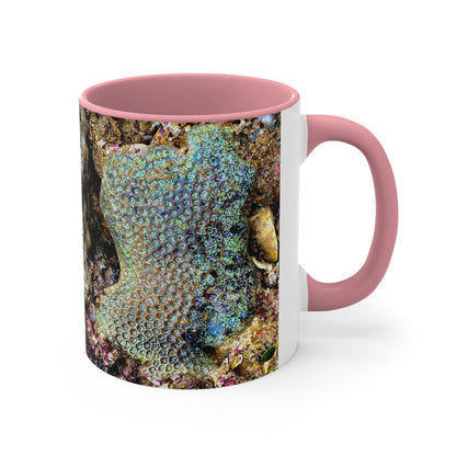 Reef range- AUS PRINT Colorful Accent Mugs, 11oz
