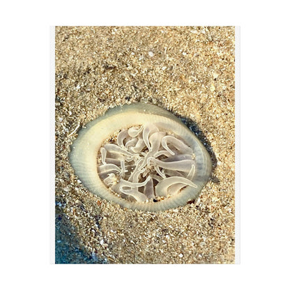 Serene Jellyfish Unframed Poster - Beach Decor for Ocean Lovers