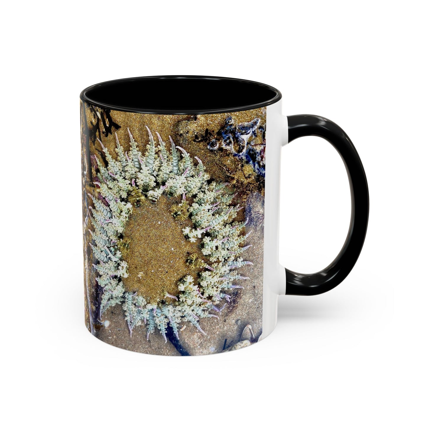 Reef range Accent Coffee Mug (11, 15oz)