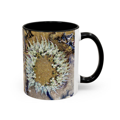 Reef range Accent Coffee Mug (11, 15oz)