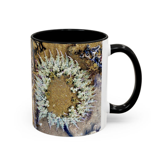 Reef range Accent Coffee Mug (11, 15oz)