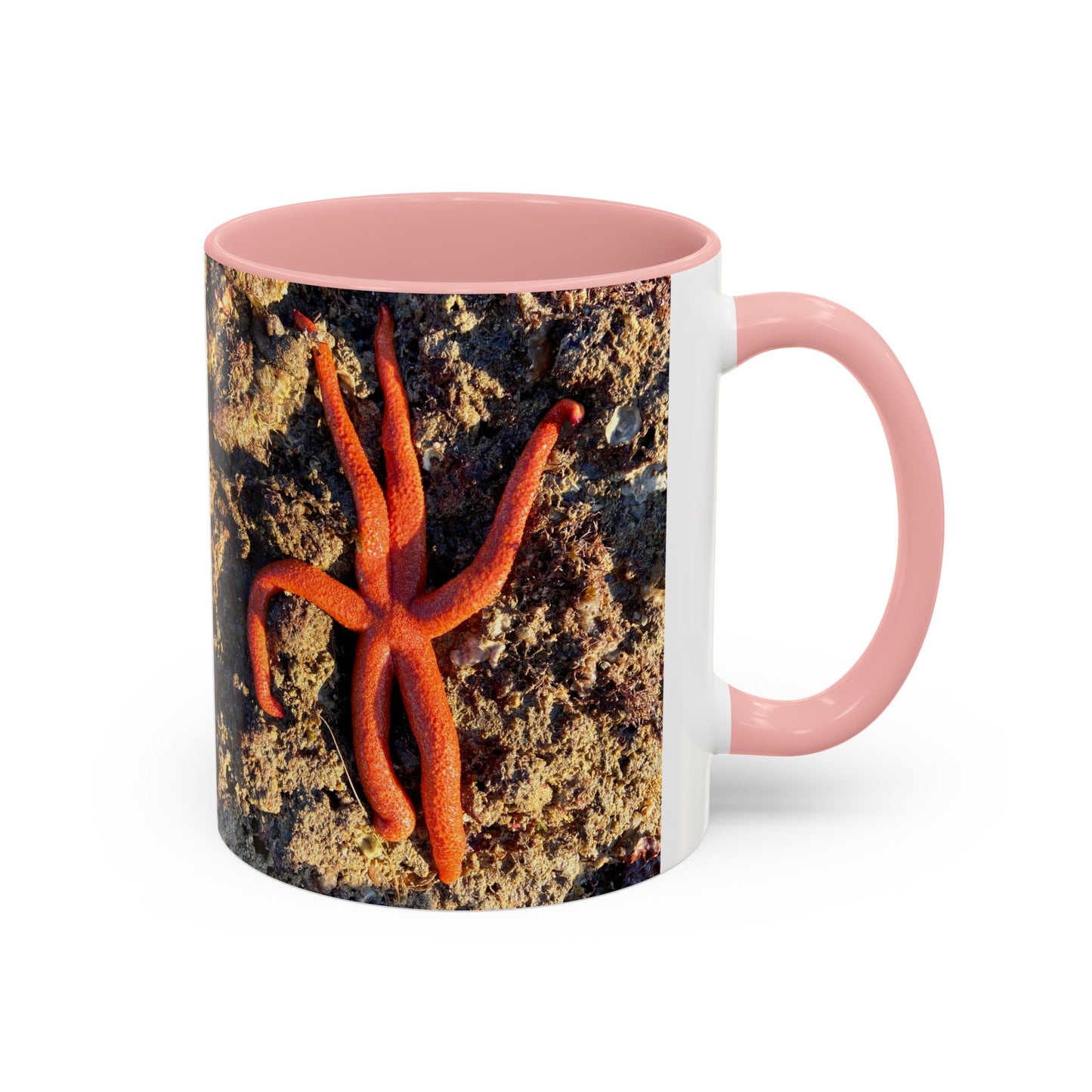 Reef range Accent Coffee Mug (11, 15oz)