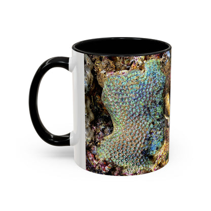 Reef range Accent Coffee Mug (11, 15oz)