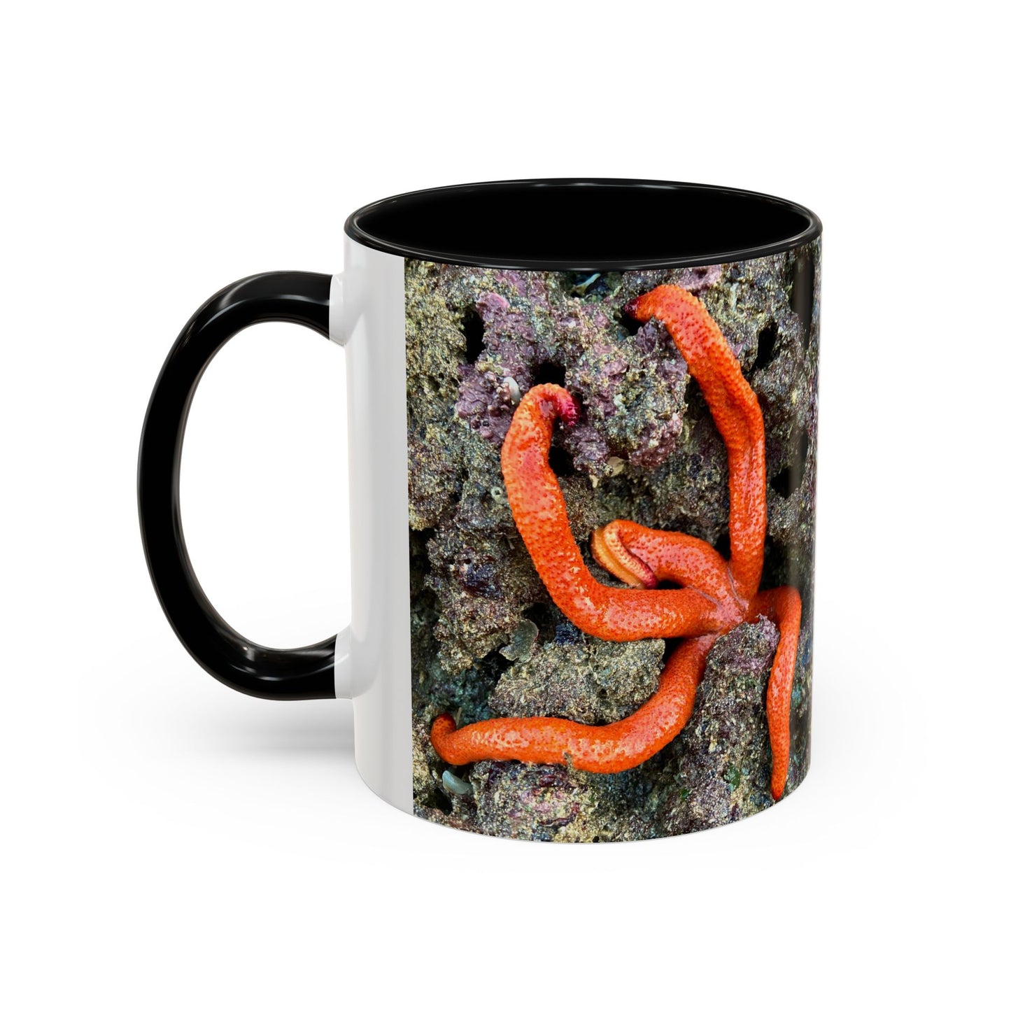 Reef range Accent Coffee Mug (11, 15oz)