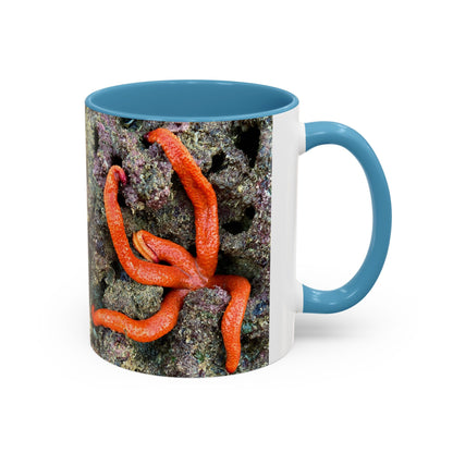 Reef range Accent Coffee Mug (11, 15oz)