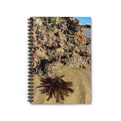 Reef range Spiral Notebook - Ruled Line