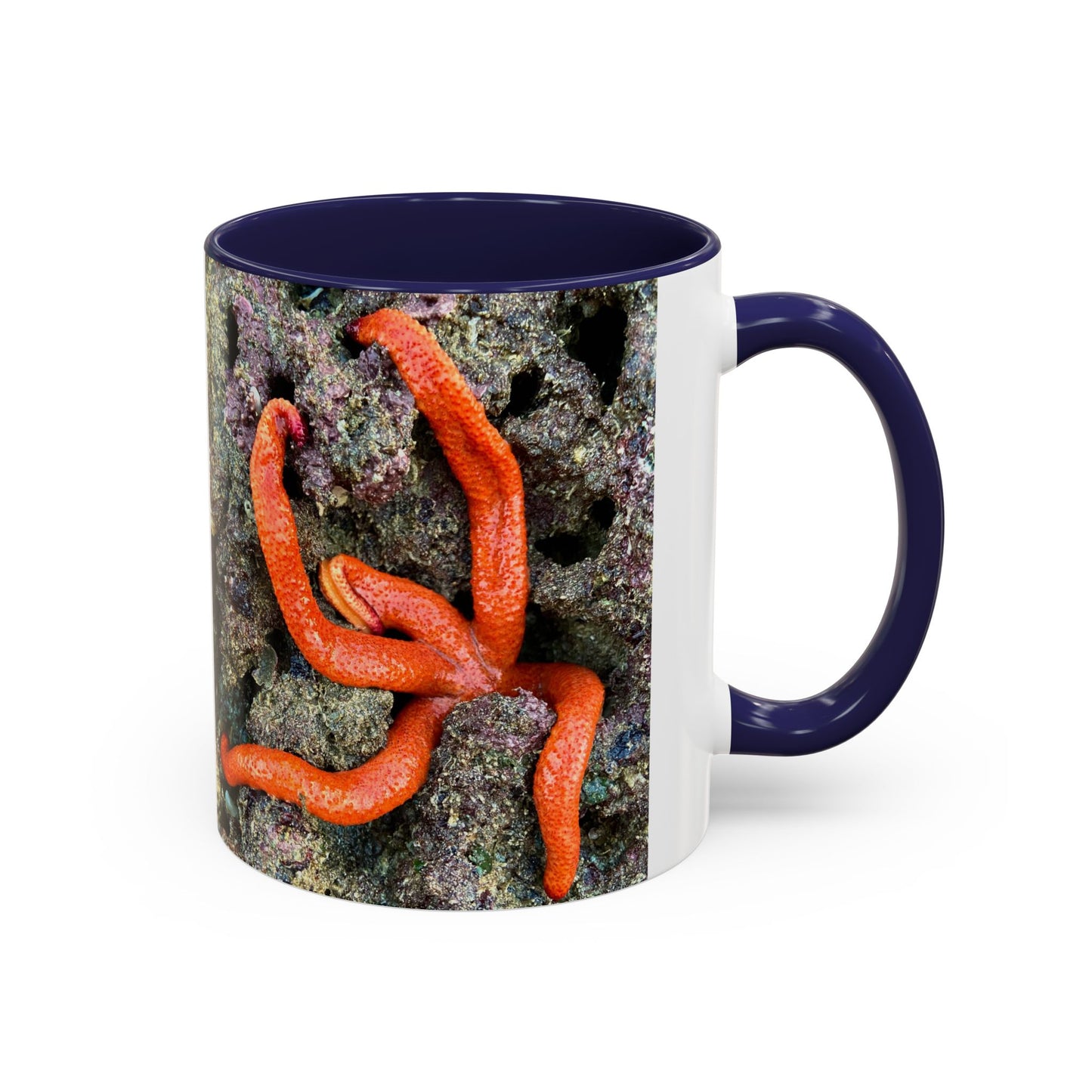 Reef range Accent Coffee Mug (11, 15oz)