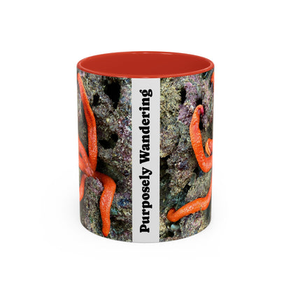 Reef range Accent Coffee Mug (11, 15oz)