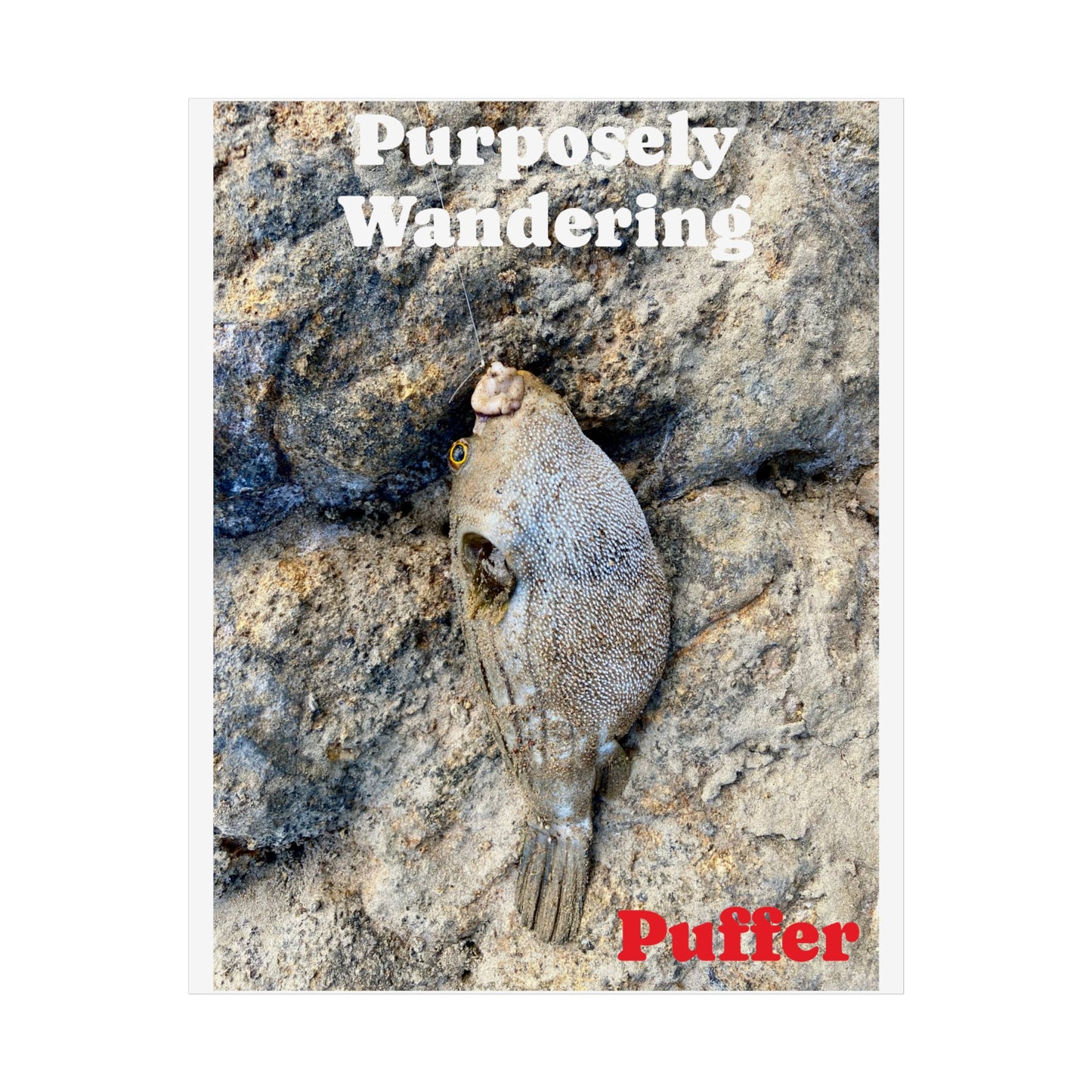 Whimsical 'Purposely Wandering' Puffer Fish Unframed Poster - Ocean Lover's Wall Art