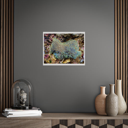 Coral Reef Wall Art – Unframed Coastal Poster Design for Nature Lovers
