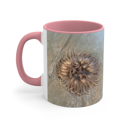 Reef range- AUS PRINT Colorful Accent Mugs, 11oz