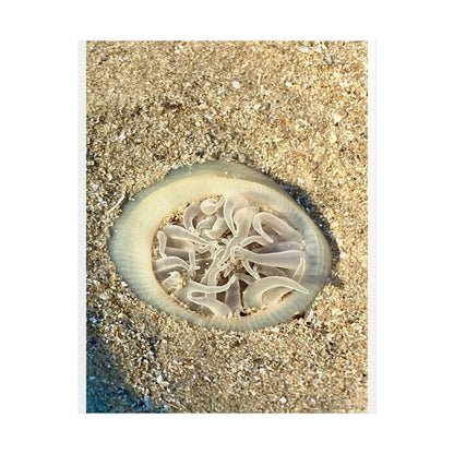 Serene Jellyfish Unframed Poster - Beach Decor for Ocean Lovers