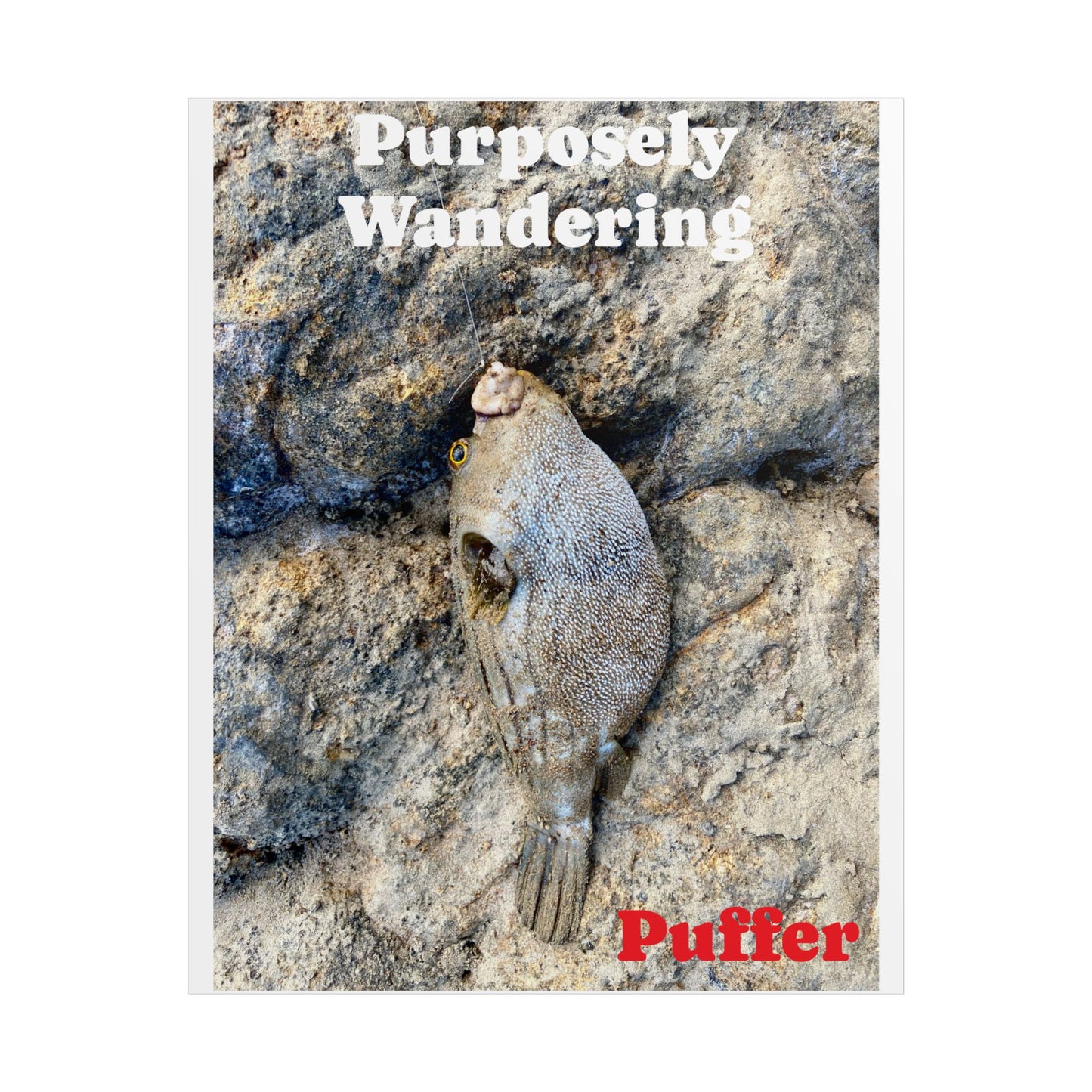 Whimsical 'Purposely Wandering' Puffer Fish Unframed Poster - Ocean Lover's Wall Art