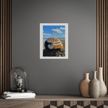 Coastal Nautilus Shell Unframed Poster – Beach Decor for Coastal Lovers