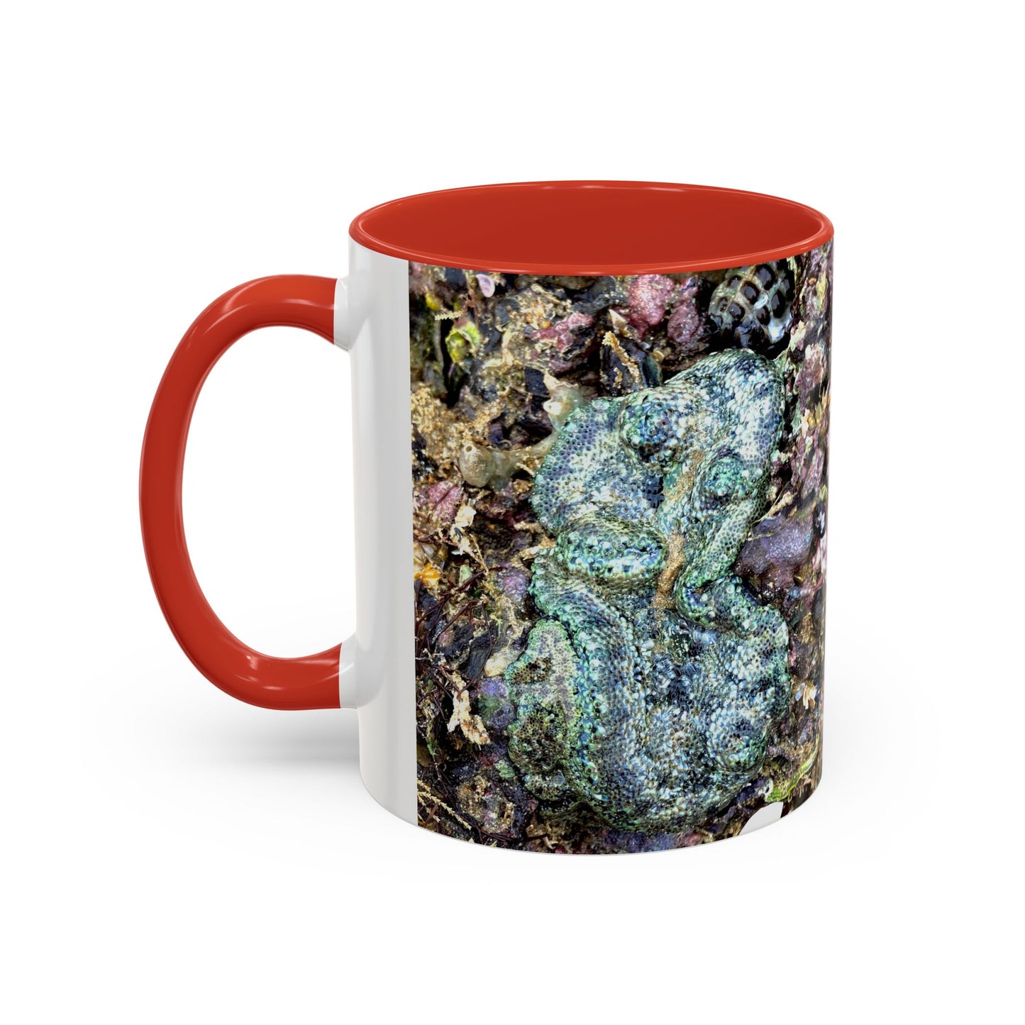 Reef range Accent Coffee Mug (11, 15oz)