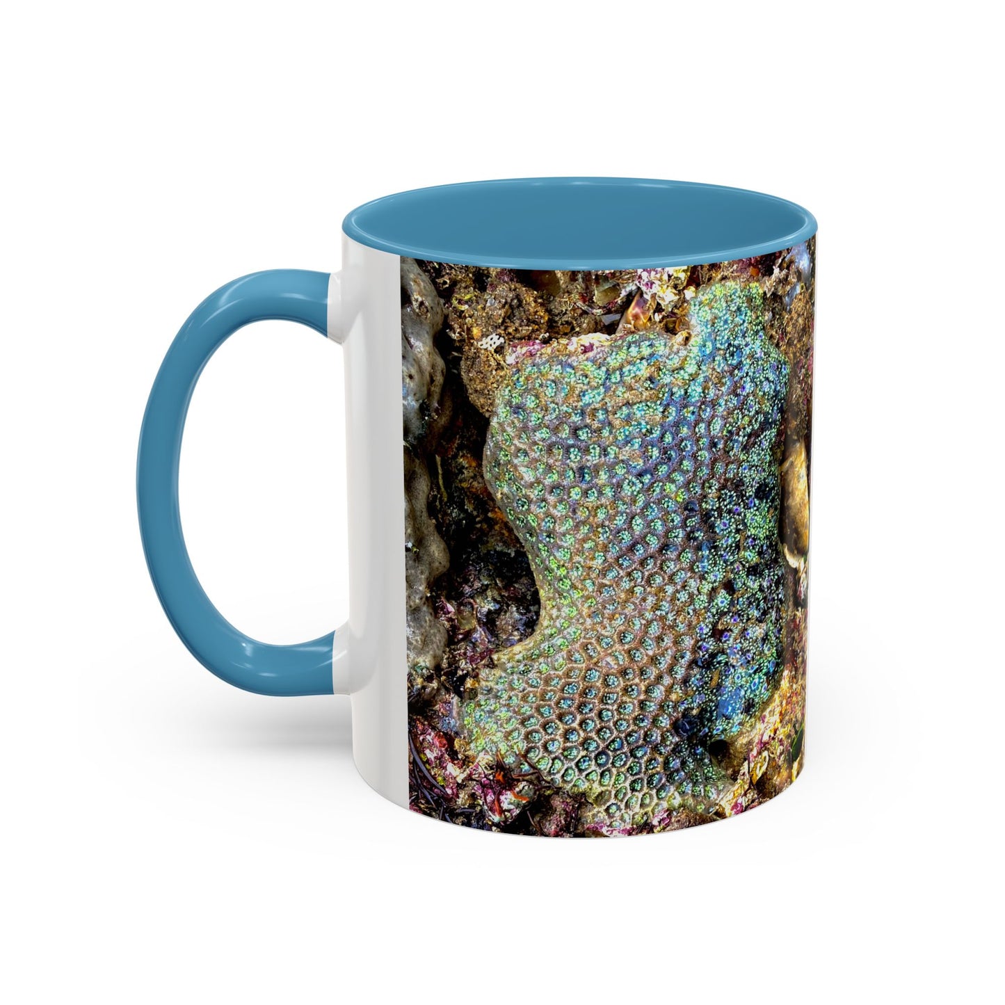 Reef range Accent Coffee Mug (11, 15oz)