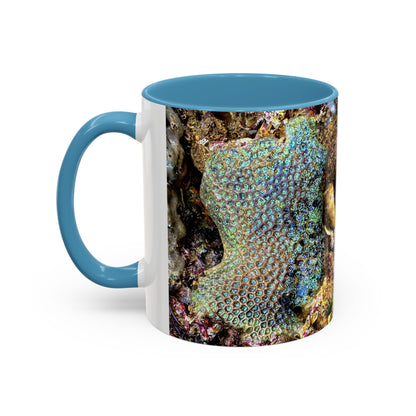 Reef range Accent Coffee Mug (11, 15oz)