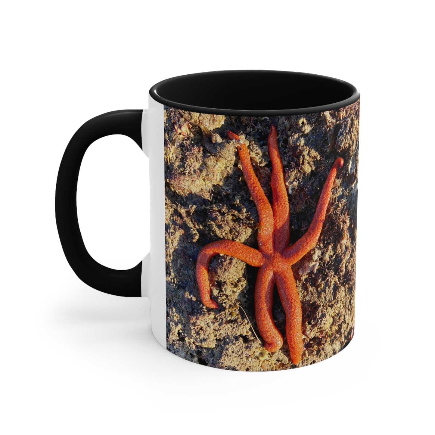 Reef range- AUS PRINT Colorful Accent Mugs, 11oz