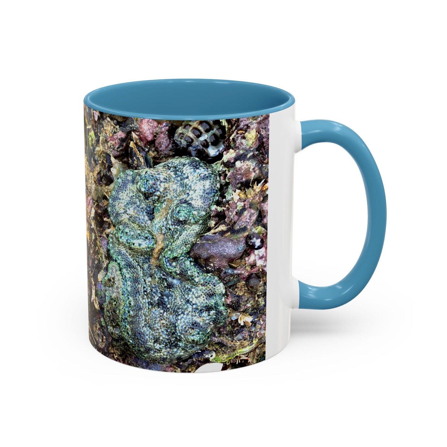 Reef range Accent Coffee Mug (11, 15oz)