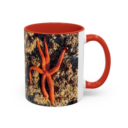Reef range Accent Coffee Mug (11, 15oz)