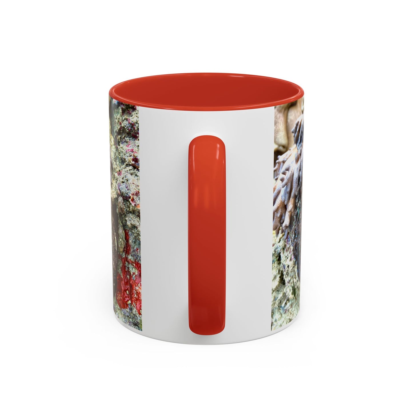 Reef range Accent Coffee Mug (11, 15oz)