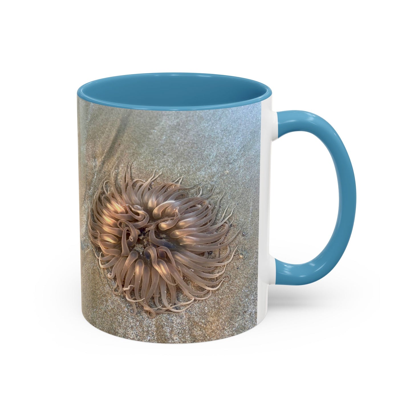 Reef range Accent Coffee Mug (11, 15oz)