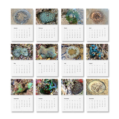 Reef range- Standard Wall Calendar (2025)